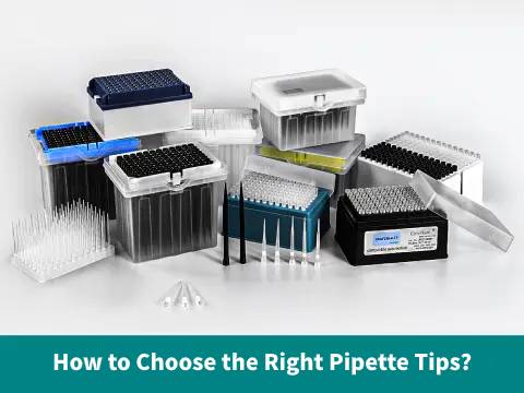 Guida all'acquisto dei puntali per pipette